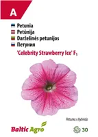 PETUUNIA BALTIC AGRO "CELEBRITY STRAWBERRY ICE"
