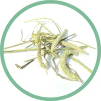 HEIN LEMMIKLOOMADELE NORDIC PET TIMOTHY 2KG