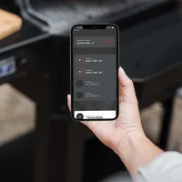 SUITSUAHJUGA SÖEGRILL MASTERBUILT GRAVITY SERIES™ 600, DIGITAALNE