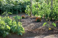 LILLEREDEL SILINDER PROSPERPLAST METSAROHELINE