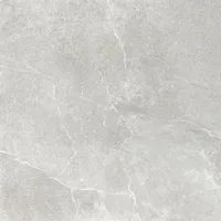 PÕRANDA-JA SEINAPLAAT PRISSMACER OLIMPO VISON 60X60CM, 1,80M² PAKIS