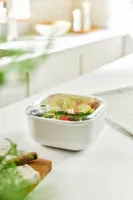 SÄILITUSKARP ROTHO ELA 2L VALGE