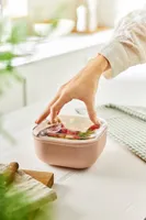 SÄILITUSKARP ROTHO ELA 1L VANA ROOSA