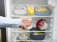 SÄILITUSKARP ROTHO ELA 0,425L VANA ROOSA