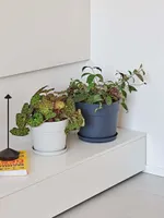 LILLEPOTT BLOOM VALGE Ø24CM