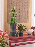 LILLEPOTT COLORADO TUMEHALL Ø20CM