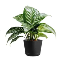 LILLEPOTT COLORADO TUMEHALL Ø20CM