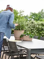 LILLEPOTT BRONTE GALESTRO Ø36CM