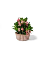 LILLEPOTT MODICA GALESTRO Ø26CM