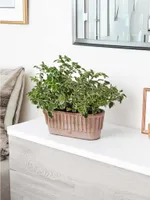 LILLEPOTT TAORMINA GALESTRO 13X33CM