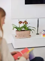 LILLEPOTT TAORMINA GALESTRO 13X33CM