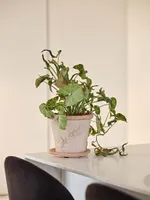 LILLEPOTT SOLETO GALESTRO Ø19CM