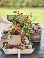 LILLEPOTT MURGIA MATERA Ø23CM