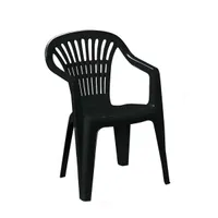 AIATOOL PROGARDEN SCILLA 56X58X80CM ANTRATSIIT