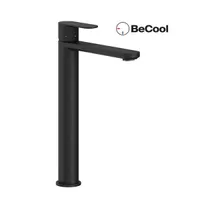 VALAMUSEGISTI RAVAK CHROME II 015.21 300 MM BECOOL MUST