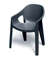 AIATOOL FERNE PREMO, CARBON