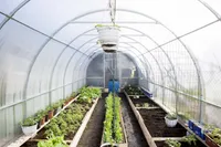 KAARKASVUHOONE EASY-UP 3X6M 6MM