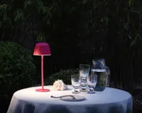 VÄLIS LAUALAMP LEDVANCE ENDURA LED USB 2,50W ROOSA