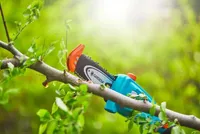 OKSASAAG GARDENA TCS 20/18V P4A, TELESKOOPVARREGA, AKU JA LAADIJAGA