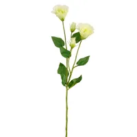 KUNSTLILL MICA DECORATIONS PREERIAKELL 72CM ROHELINE