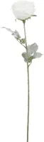 KUNSTLILL MICA DECORATIONS ANTIIKROOS 66CM VALGE