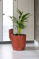 PLASTPOTT FORM-PLASTIC MIKA CYLI 30 SISUGA VASK