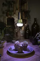 RIPPVALGUSTI LEDVANCE VINTAGE PENDULUM NEEDLE E27 TUMEHALL