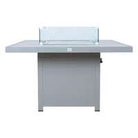 AIALAUD - GAASIKAMIN RIO, HALLIKASBEEŽ