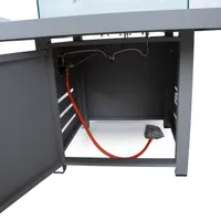 AIALAUD - GAASIKAMIN RIO, HALLIKASBEEŽ