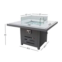 AIALAUD - GAASIKAMIN RIO, HALLIKASBEEŽ