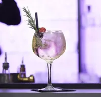 KOKTEILIKLAAS GIN TONIC ROYAL LEERDAM 65CL, 4TK