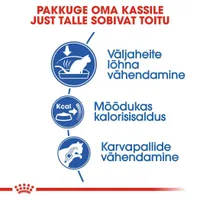 KUIVTOIT ROYAL CANIN INDOOR KASSIDELE 4KG