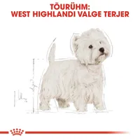 KUIVTOIT ROYAL CANIN WHITE TERRIER TÄISKASVANUD KOERTELE 3KG