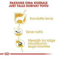 KUIVTOIT ROYAL CANIN WHITE TERRIER TÄISKASVANUD KOERTELE 3KG