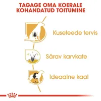 KUIVTOIT ROYAL CANIN MINIATURE SCHNAUZER TÄISKASVANUD KOERTELE 3KG