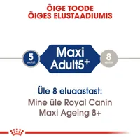 KUIVTOIT ROYAL CANIN ADULT 5+ SUURT KASVU KOERTELE 4KG