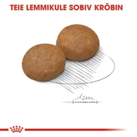 KUIVTOIT ROYAL CANIN ADULT 5+ SUURT KASVU KOERTELE 4KG