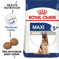 KUIVTOIT ROYAL CANIN ADULT 5+ SUURT KASVU KOERTELE 4KG