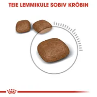 KUIVTOIT ROYAL CANIN URINARY CARE KASSIDELE 2KG