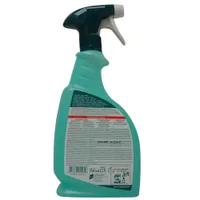 ÜLDPUHASTUSVAHEND SANYTOL EUKALÜPT 750ML