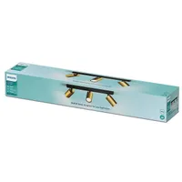 VANNITOAVALGUSTI PHILIPS IDRIS 3X5W HV IP44 MESSING