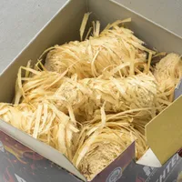 SÜÜTERULLID PROFLAME 25TK