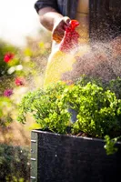 PEENRAKAST UPYARD PROFESSIONAAL 80X60CM MUST