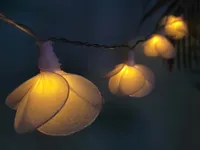 VALGUSKETT SOLAR ÕIED LED 1,8M