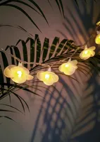 VALGUSKETT SOLAR ÕIED LED 1,8M