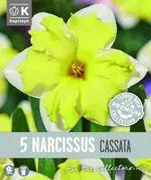 NARTSISS KAPITEYN CASSATA 5TK