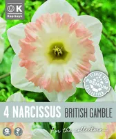 TROMPETNARTSISS KAPITEYN BRITISH GAMBLE 4TK