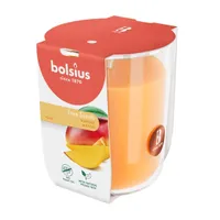 LÕHNAKÜÜNAL KLAASIS BOLSIUS 25H, MANGO