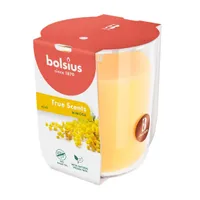 LÕHNAKÜÜNAL KLAASIS BOLSIUS 25H, MIMOSA