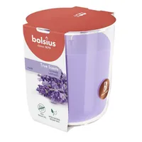 LÕHNAKÜÜNAL KLAASIS BOLSIUS 45H, LAVENDEL